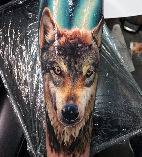 手臂彩色逼真的狼头纹身图案