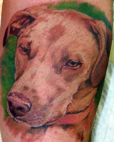 可爱的狗和绿色背景纹身图案