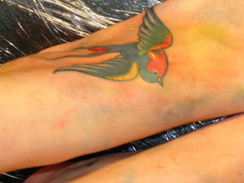 女性脚背多色的燕子纹身图案