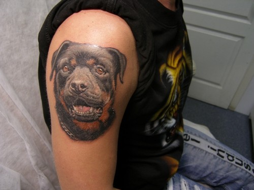 大臂罗威纳犬纹身图案