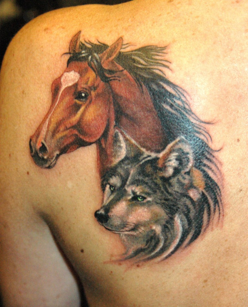 背部逼真的肖像马和狼纹身图案