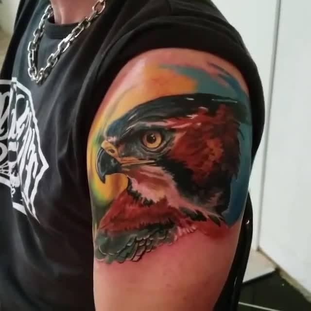 手臂逼真的彩色鹰头纹身图案