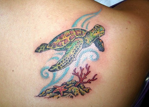 可爱的海龟与珊瑚海星纹身图案