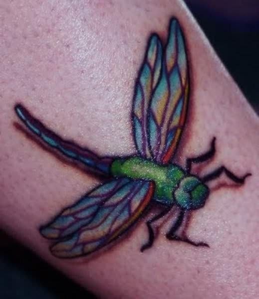 彩色翅膀的绿蜻蜓纹身图案