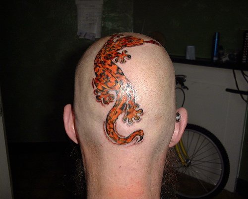 男性头部彩色老虎蜥蜴纹身图案