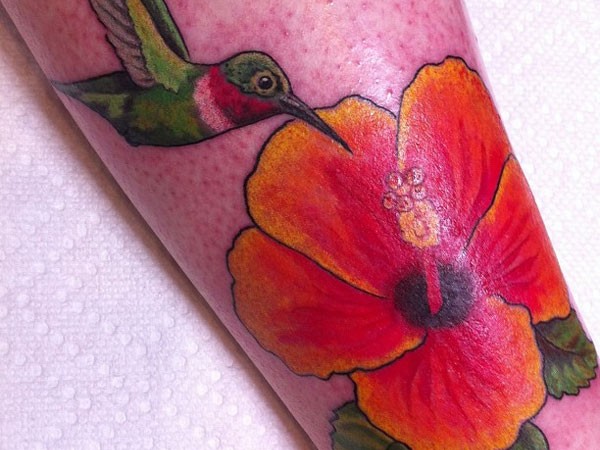 彩色蜂鸟和芙蓉花纹身图案