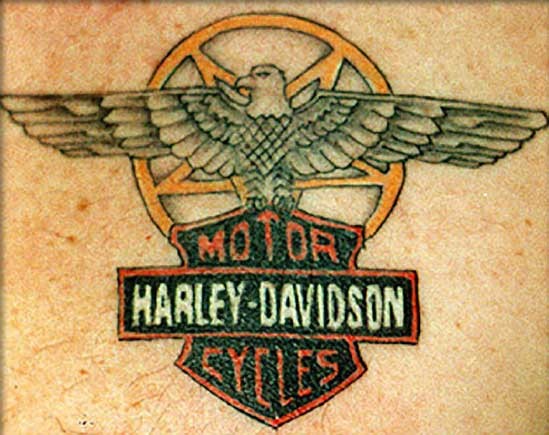 老鹰哈雷戴维森标志纹身图案