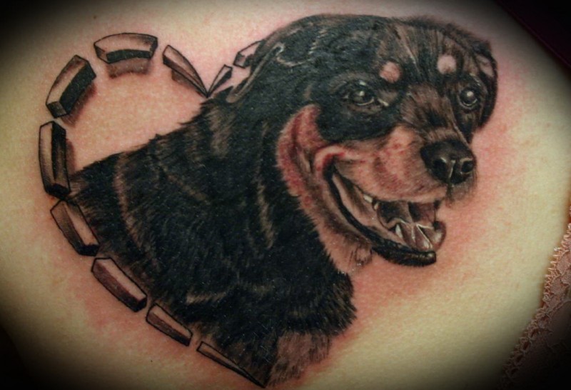 背部可爱的罗特韦尔犬心形纹身图片