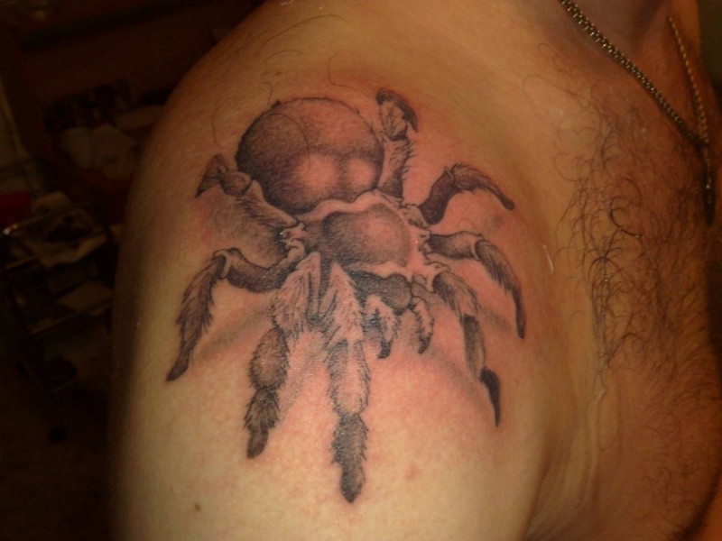 肩部灰色逼真的大蜘蛛纹身图案
