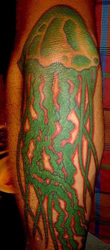 男性腿部彩色水母纹身图片