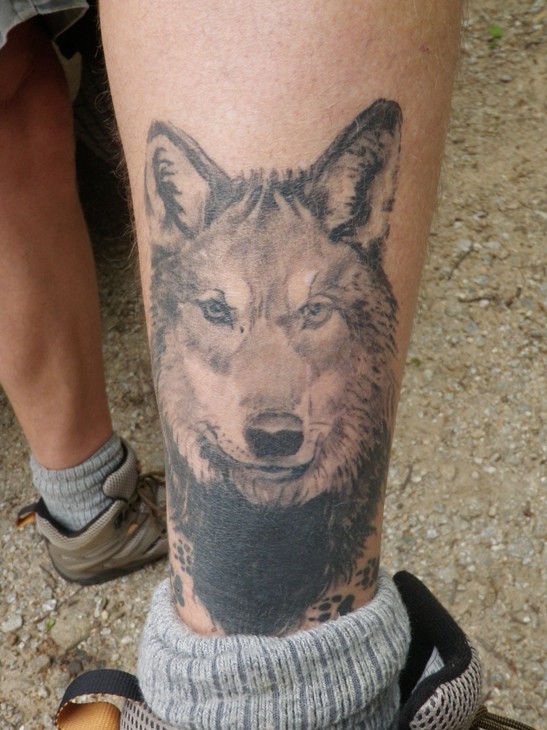 小腿写实狼头纹身图案