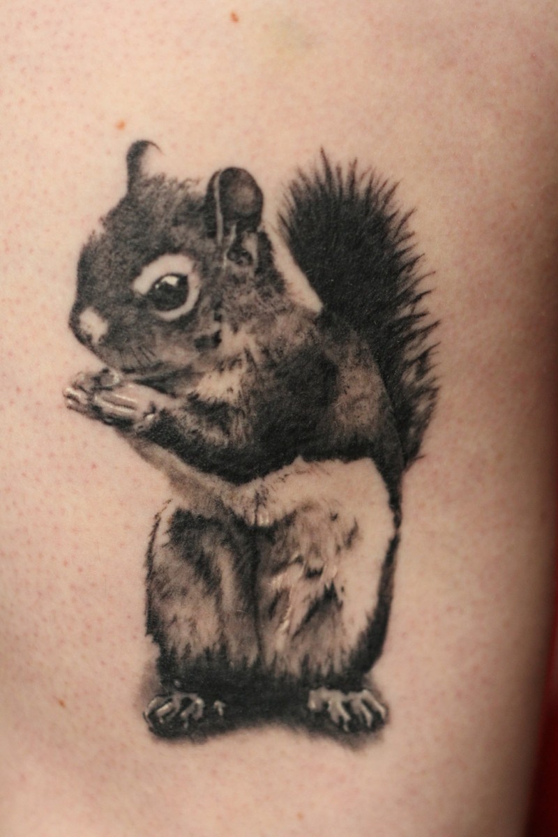 可爱的小墨松鼠纹身图案