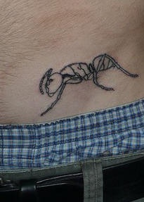 腹部简约的蚂蚁爬行纹身图案