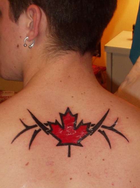 男子背后加拿大象征部落纹身