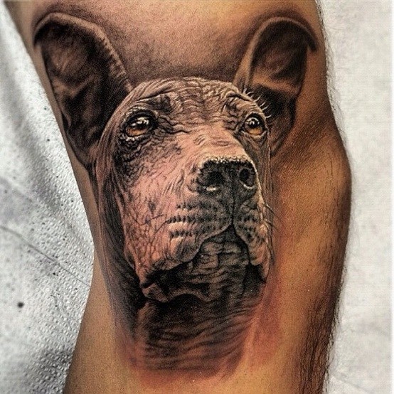 超级写实的狗纹身图案