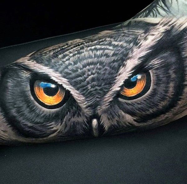 手臂现实主义风格的彩色猫头鹰纹身