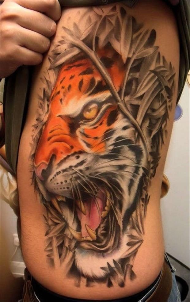 侧肋写实的彩色老虎在灌木丛里纹身图案