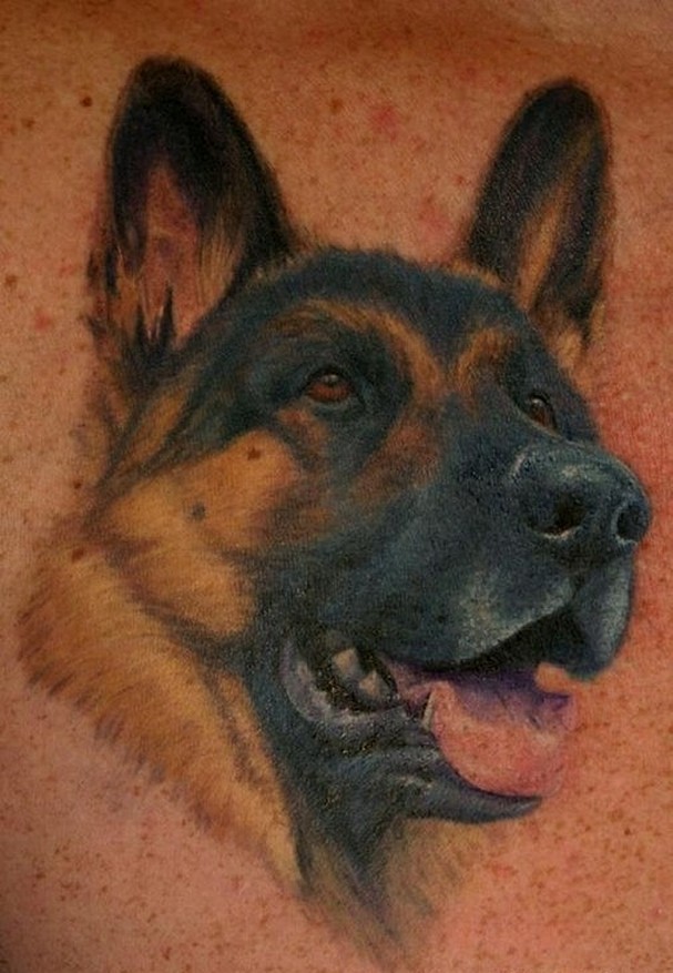 肩部彩色漆墨德国牧羊犬纹身图案