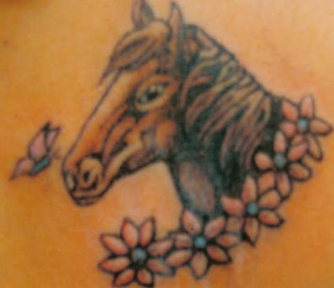背部彩色马头与花朵纹身图案