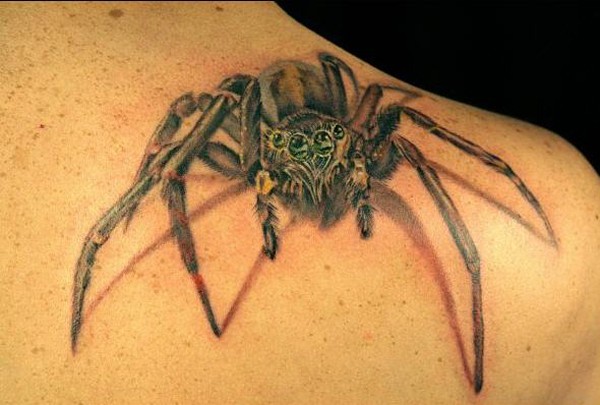 男性肩部逼真的蜘蛛纹身图案