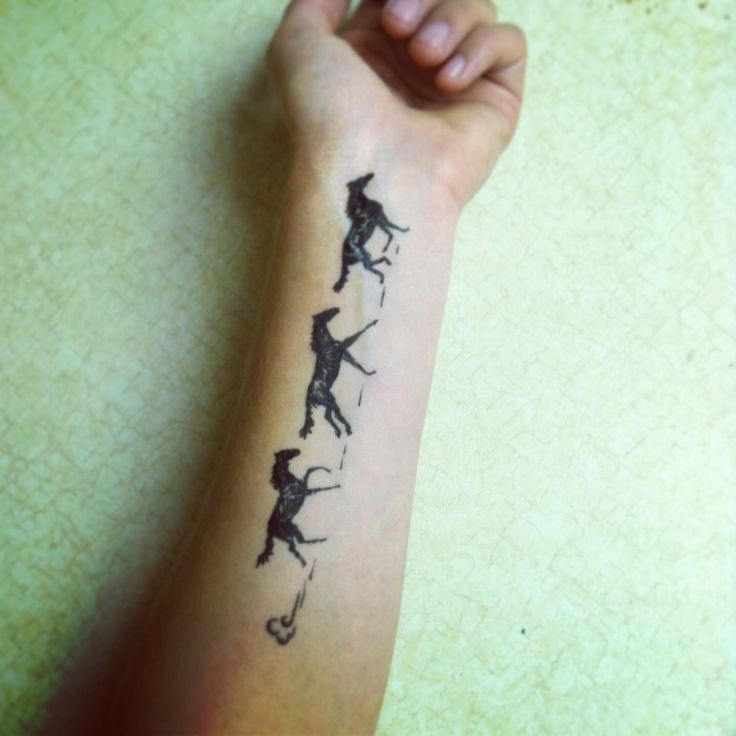 手臂黑色运动的马纹身图案