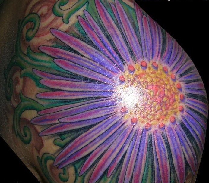 肩部彩色巨大的紫苑花纹身图案