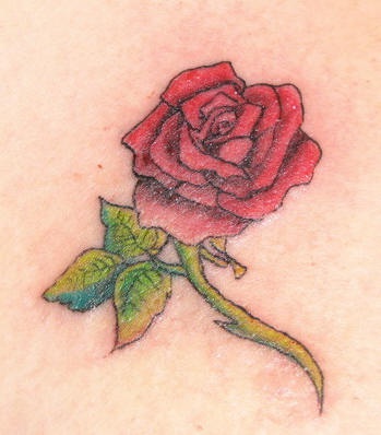肩部彩色红玫瑰纹身图案