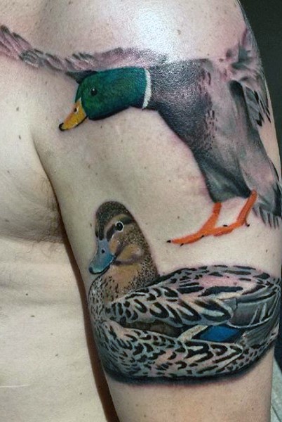 肩部彩色有趣的鸭子纹身图案