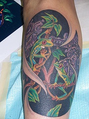 手臂彩色青蛙在灌木丛中的纹身图片