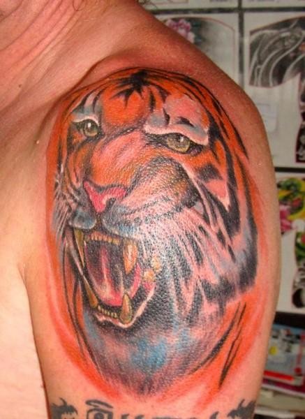 肩部彩色逼真的老虎头纹身图案