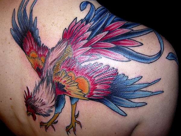 肩部彩色滑稽的公鸡纹身图案