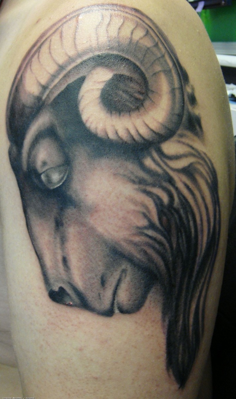 肩部棕色逼真的羊头纹身图案