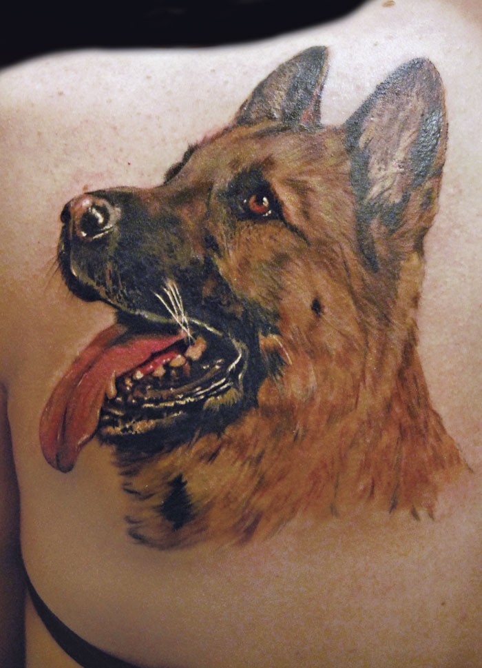 肩部逼真有趣的德国牧羊犬纹身图案