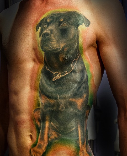 侧肋多彩的罗威纳犬纹身图案