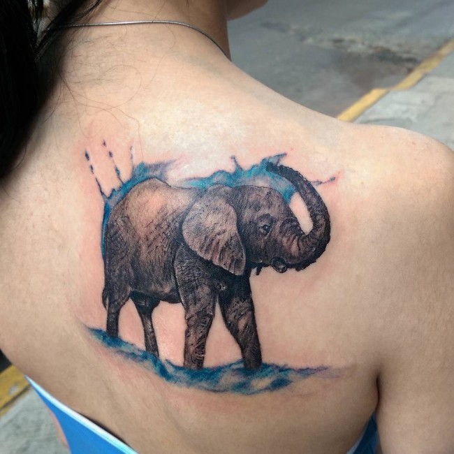 女生背部彩色大象与水纹身图案