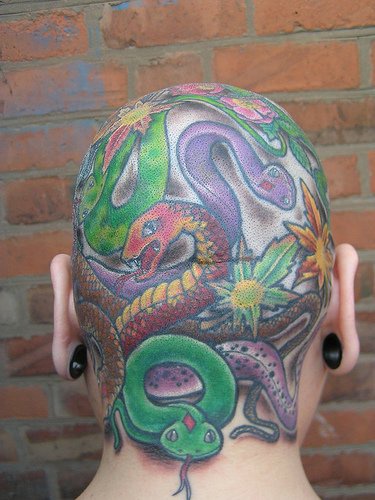 头部彩色许多分裂艳蛇纹身图案