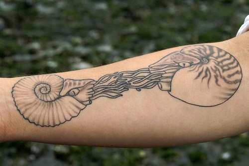 手臂无色圆形生物水母纹身图案