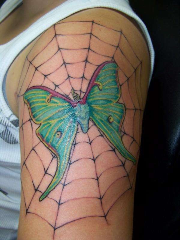 肩部彩色蜘蛛网与飞蛾纹身图案