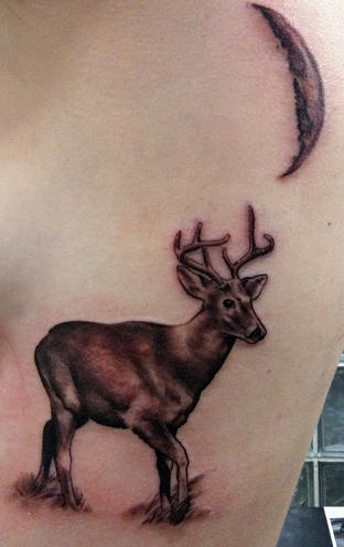 侧肋真正的鹿在月光下纹身图案