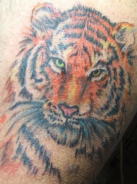 腿部彩色逼真的老虎头纹身图片