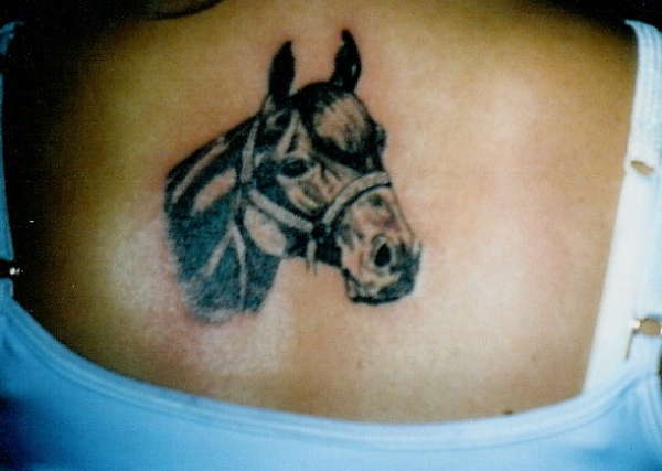 女性背部简约马头纹身图案