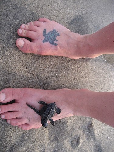 男性脚背逼真的小乌龟纹身图案