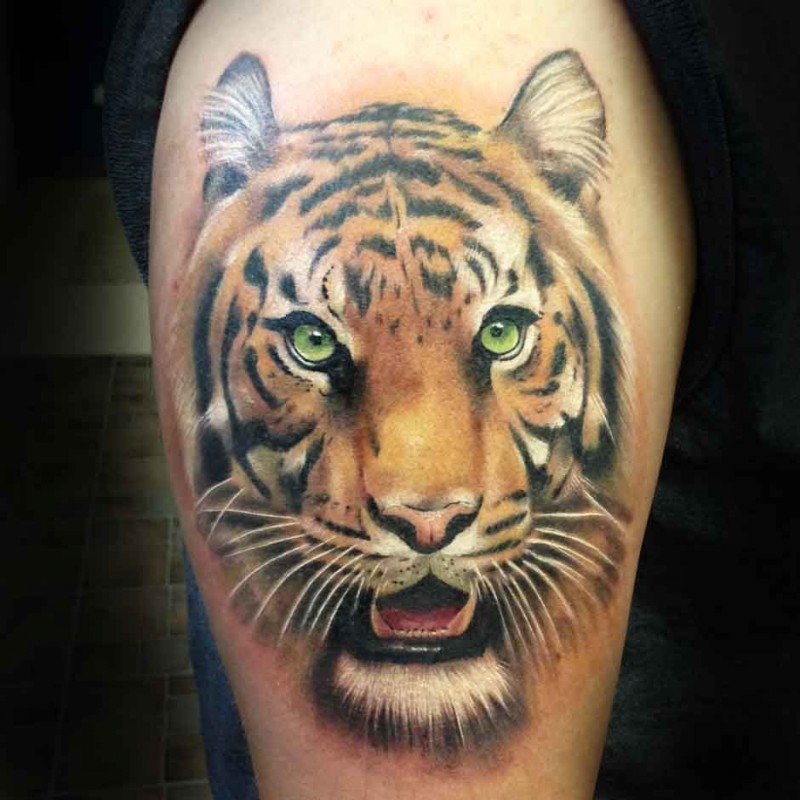 腿部彩色逼真的老虎头纹身图案