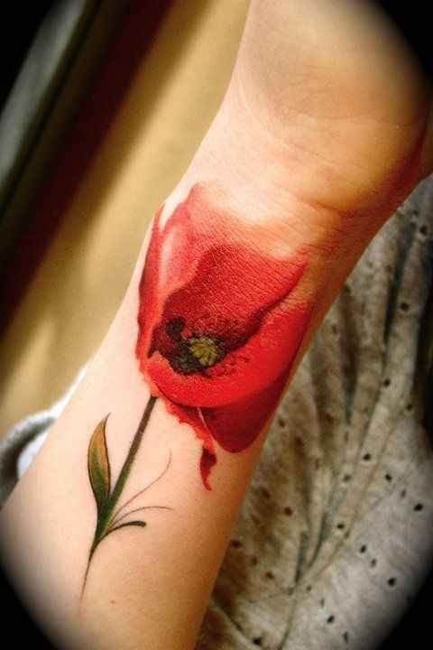 手臂水彩色红色罂粟花纹身图案