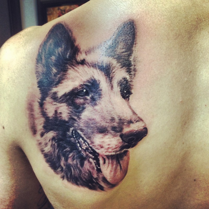 肩部逼真的德国牧羊犬纹身图片