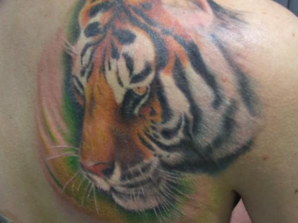 背部写实老虎头像彩色纹身图案