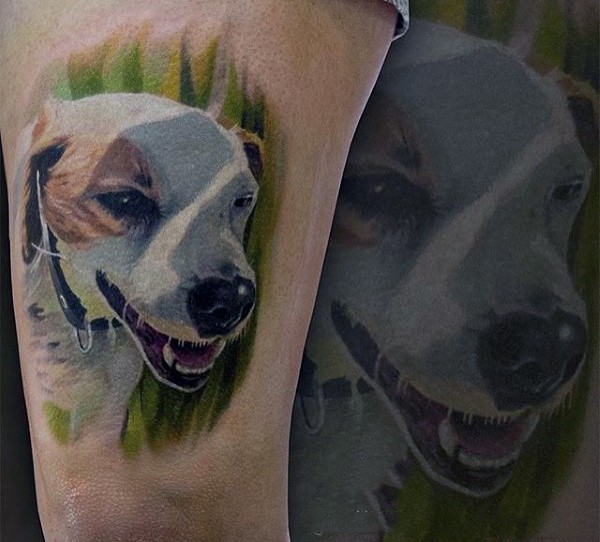 可爱的彩色狗肖像纹身图案