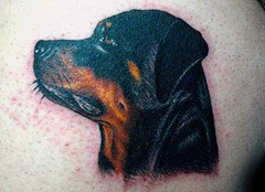写实的罗威纳犬纹身图案