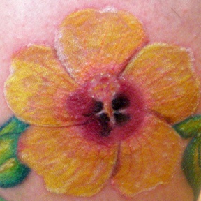肩部彩色逼真的木槿花纹身图片