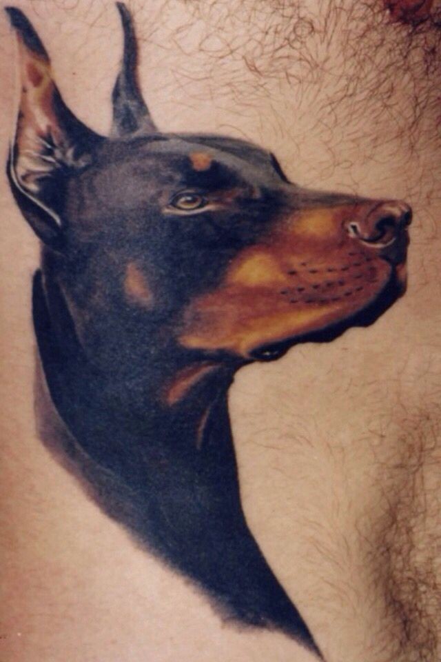 严肃的杜宾犬头像纹身图案